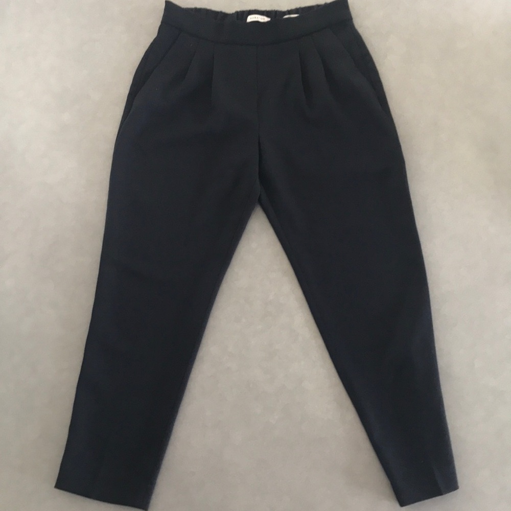 Aritzia Babaton Pants